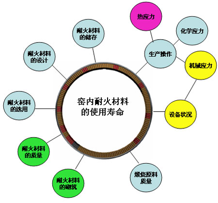 转基因在生物延长寿命中的应用探讨