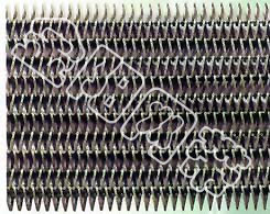 ֱʽ 
